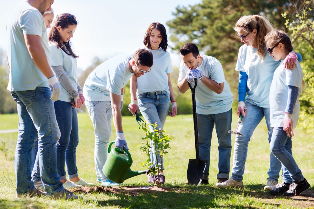 volunteer-work-college-planning